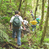 Hiking at Tortuguero, Costa Rica, 2002